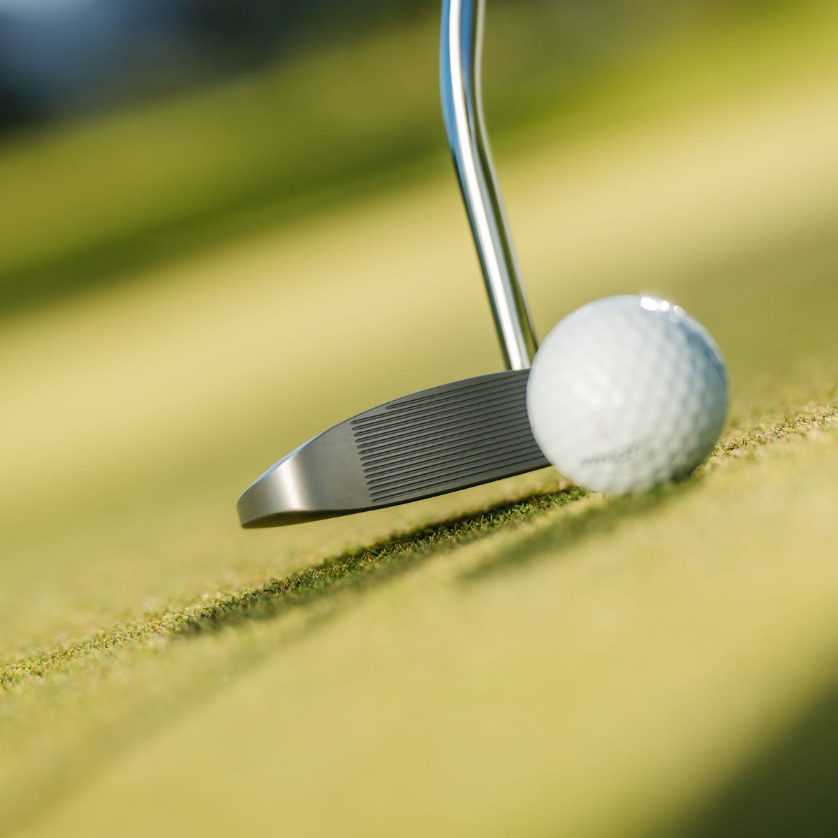Takomo Lumo M1 putter behind the ball